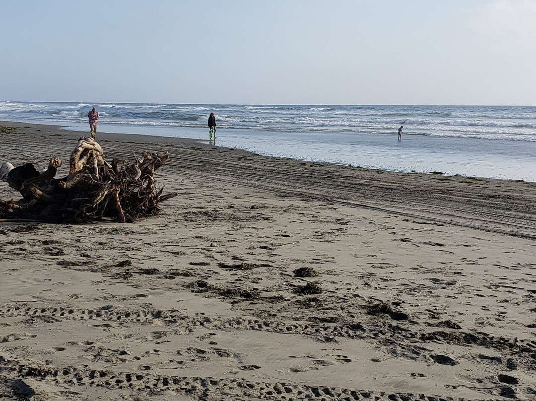 Twin Harbors Beach State Park景点图片