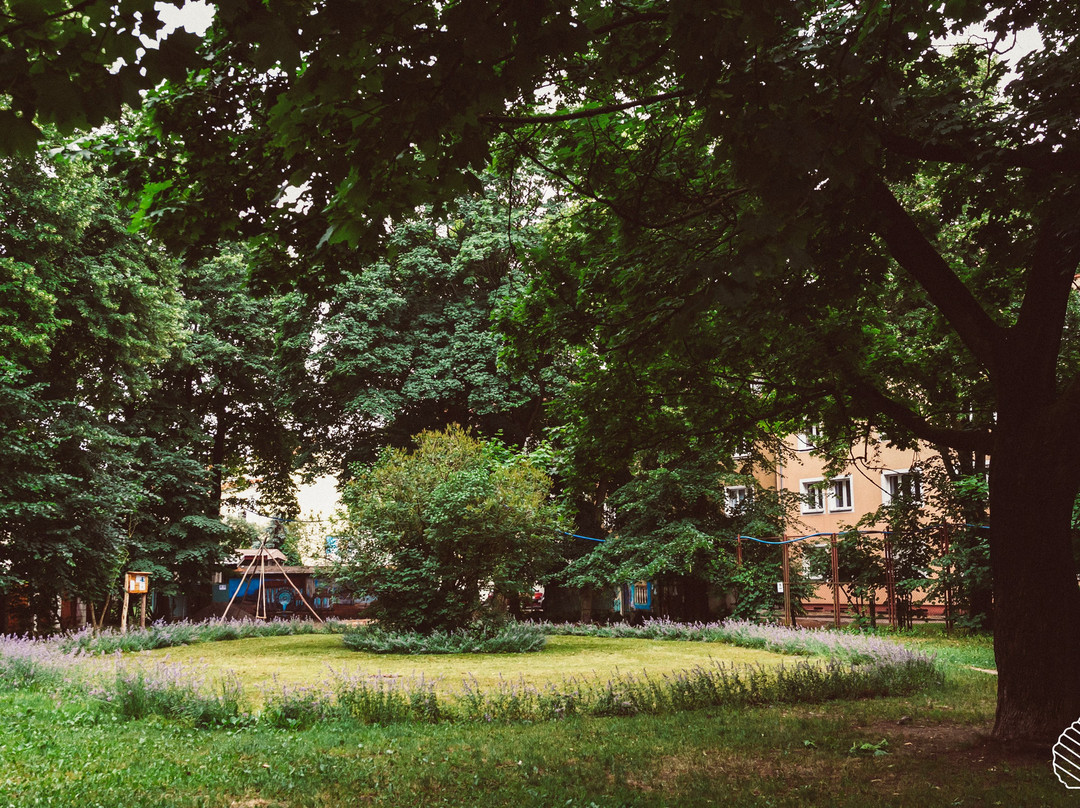 Park "Za Torami Pod Lipami"景点图片