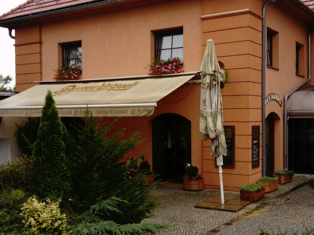 Zamecky Hotel Zlaty Orel主图