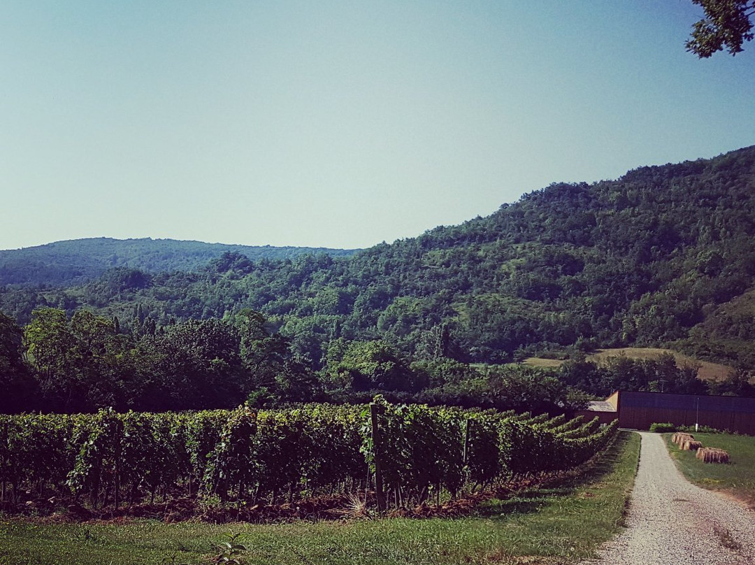 Domaine des Coteaux d'Engravies景点图片