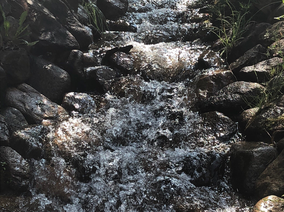 Ute Trail-阿斯蓬必去景点