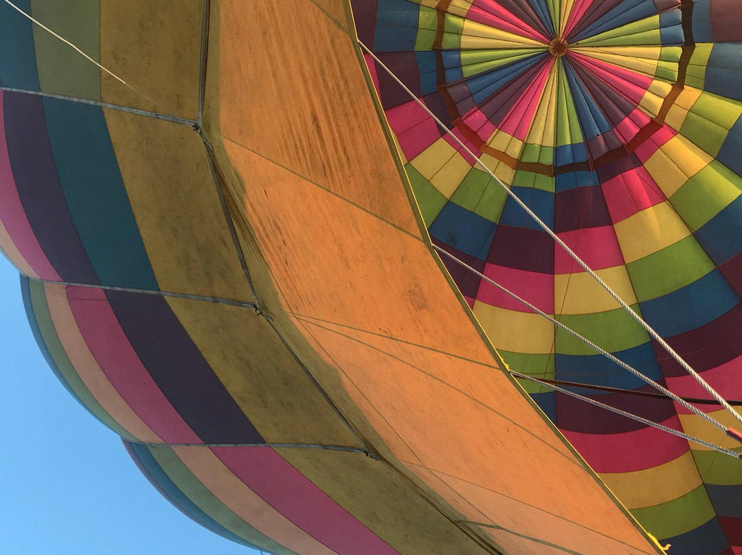 Cameron Balloon Flights-特拉尔内潘特拉必去景点