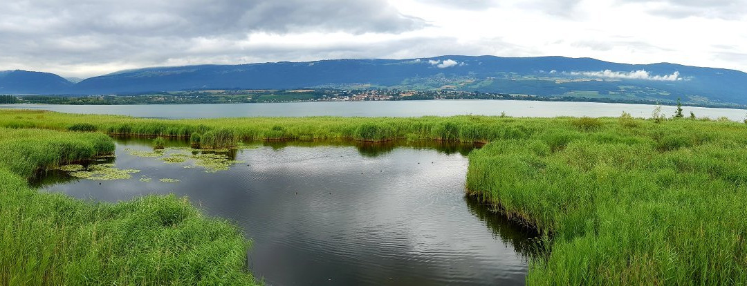 Centre Pro Natura de Champ-Pittet-Cheseaux-Noreaz必去景点
