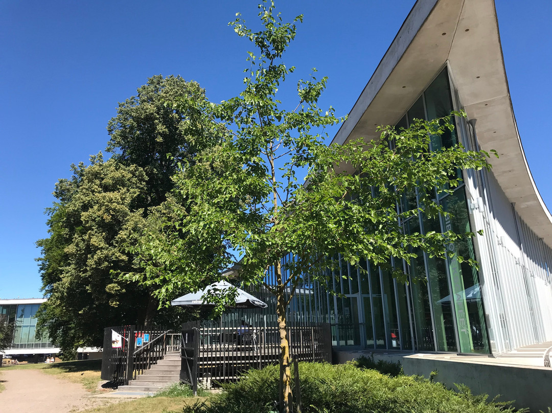 Halmstad Stadsbibliotek-哈姆斯塔德必去景点