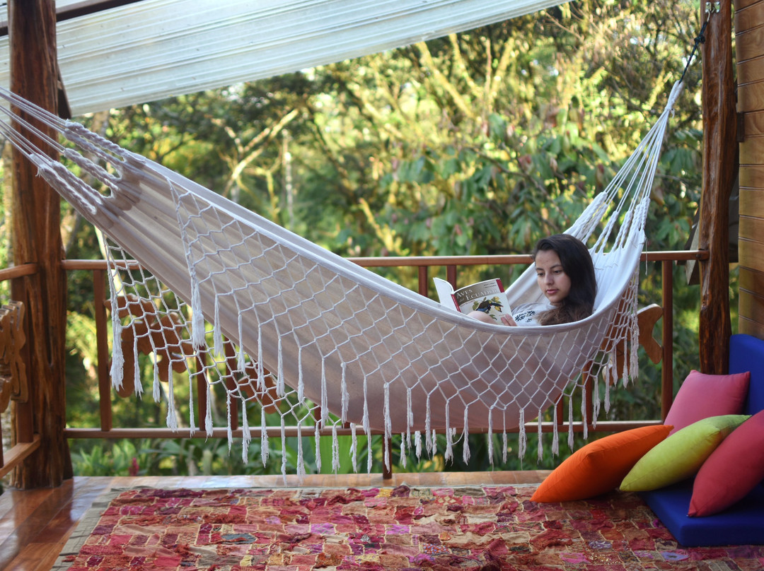 Los Yapas Holistic Center