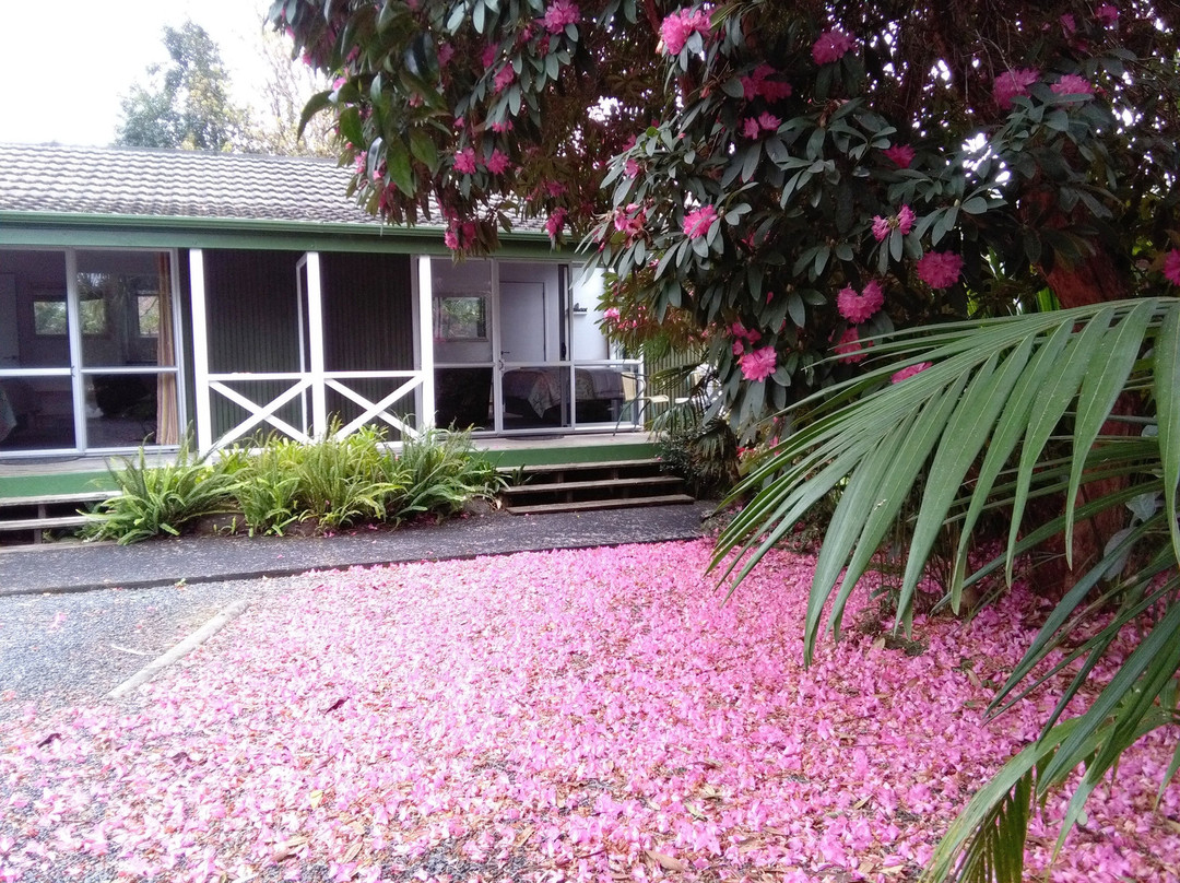 Colonial House Motel主图