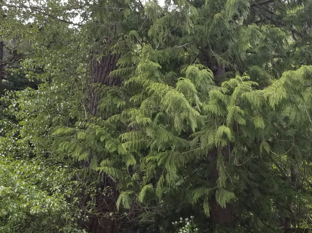 Stewart-Cassiar Highway-Kitimat-Stikine District必去景点