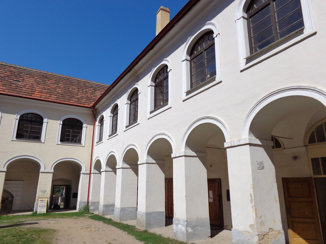Zámek Louňovice pod Blaníkem景点图片