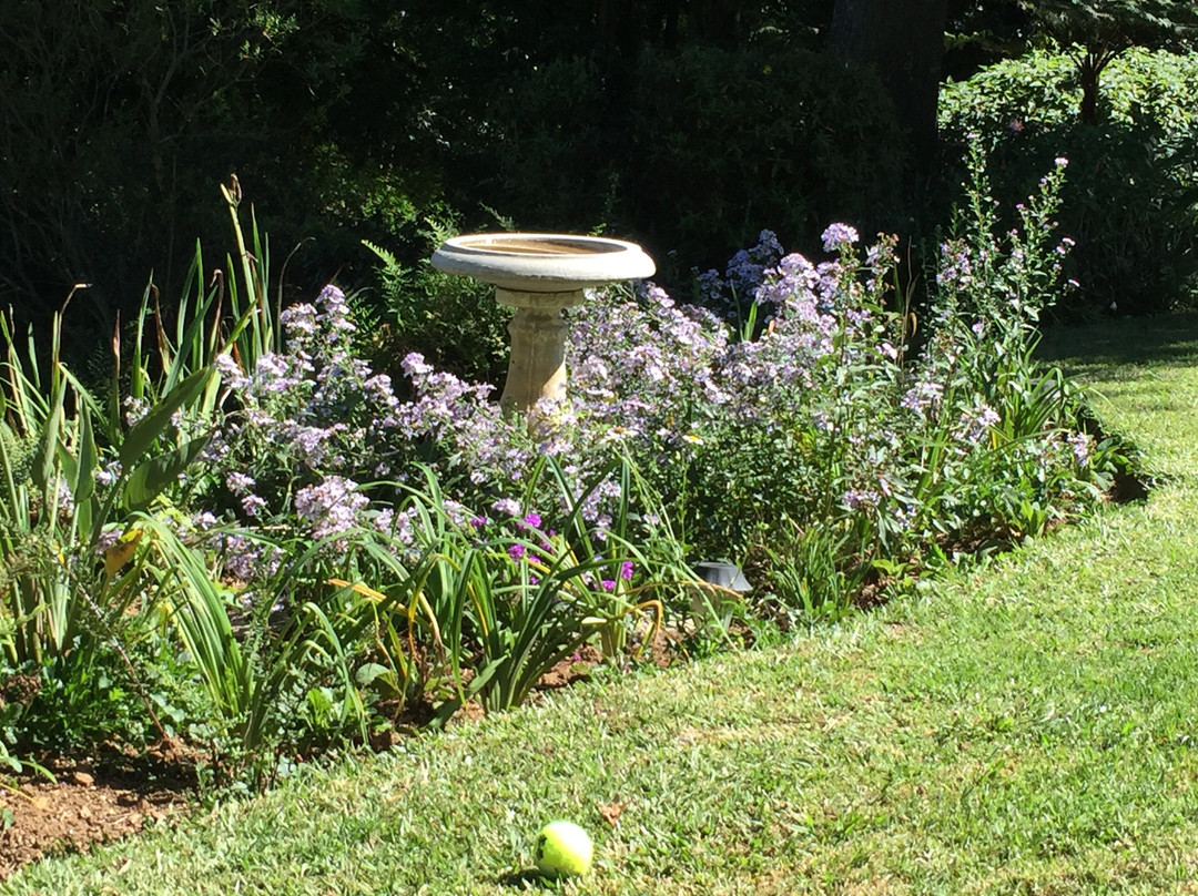 King's Hill Guest House主图