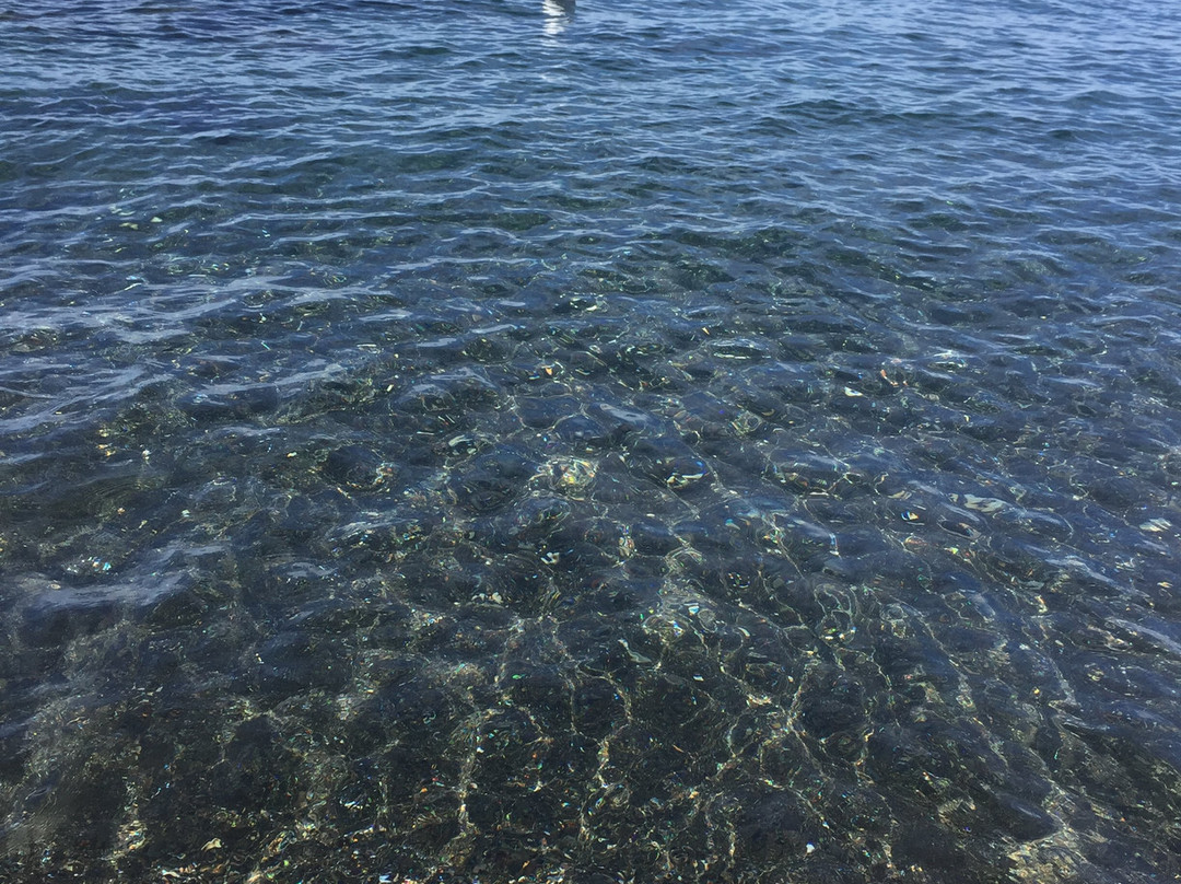 La Playa de Luca景点图片