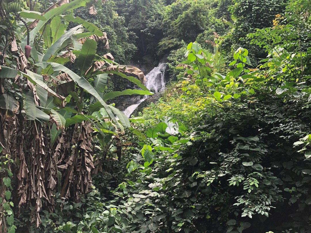 Cascade de Kpime-Kpalime必去景点