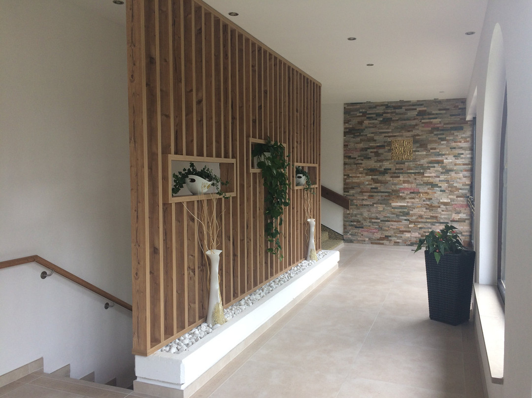 Hotel Bellevue主图