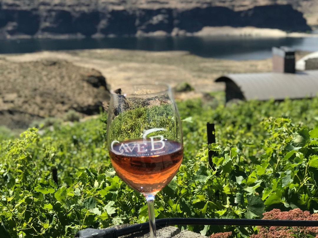 Sagecliffe Resort & Spa主图