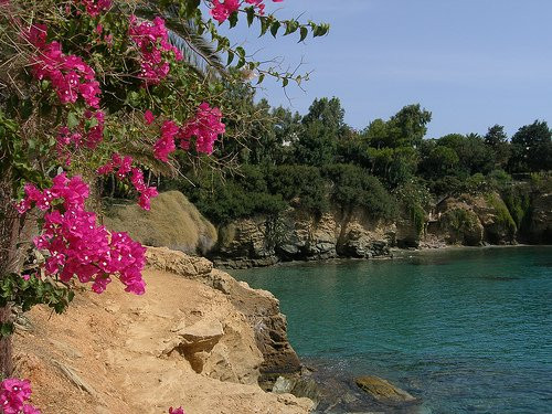 Marianna Apartments主图