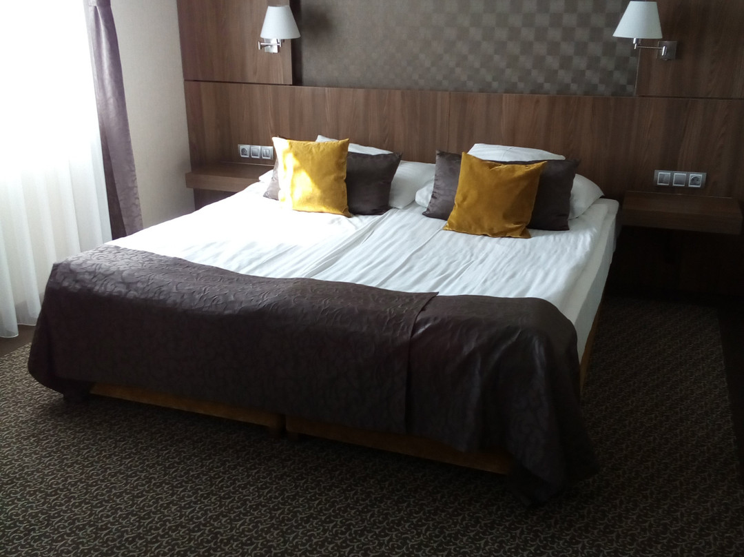 Duna Wellness Hotel主图