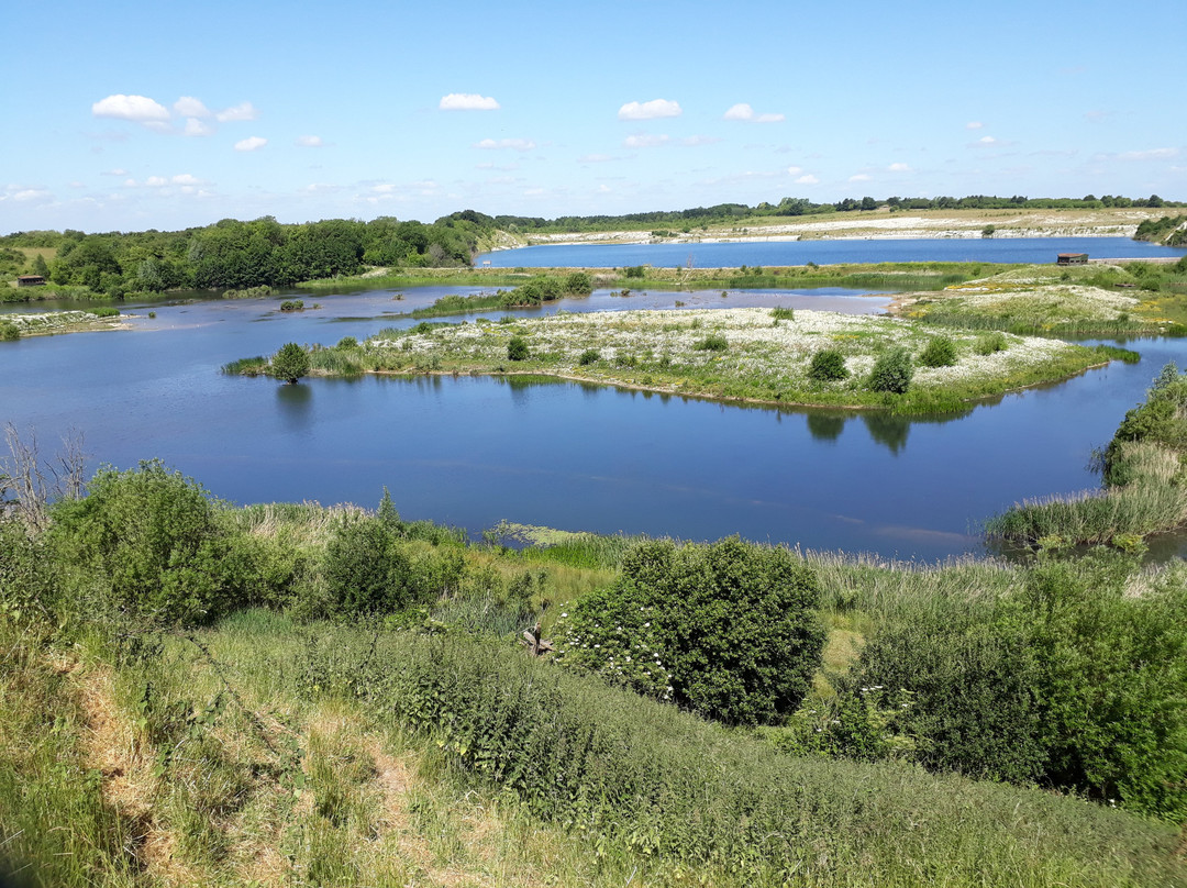 College Lake Nature Reserve景点图片