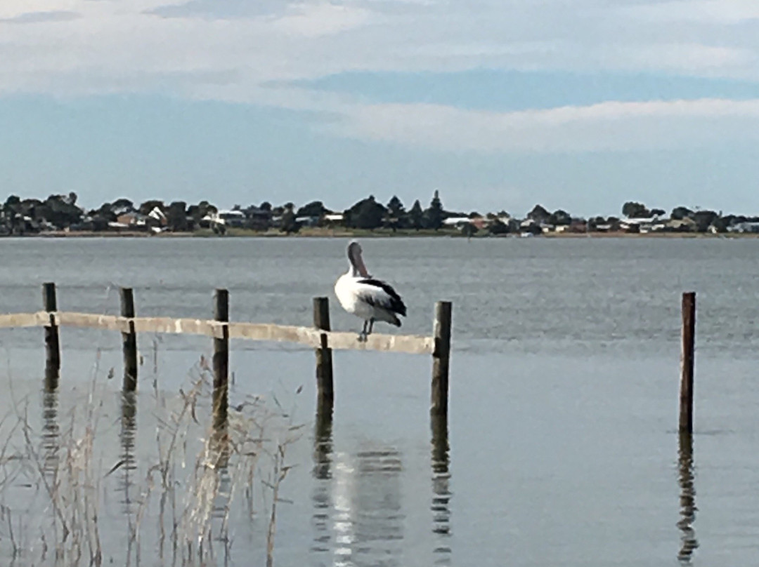 The Goolwa Boating Experience-Goolwa必去景点