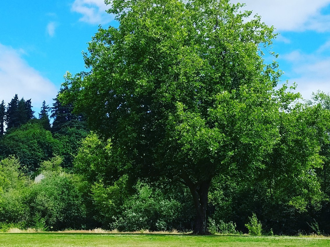 Tumwater Historical Park-塔姆沃特必去景点