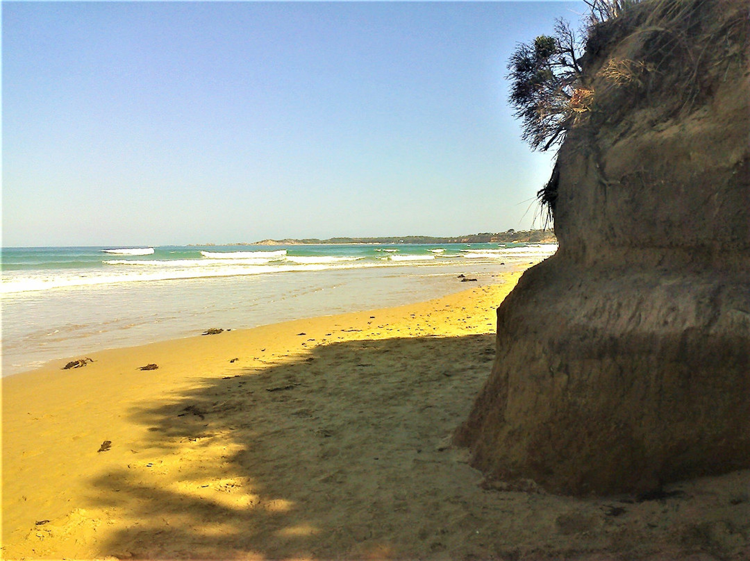 Anglesea Riverbank-安格尔西岛必去景点
