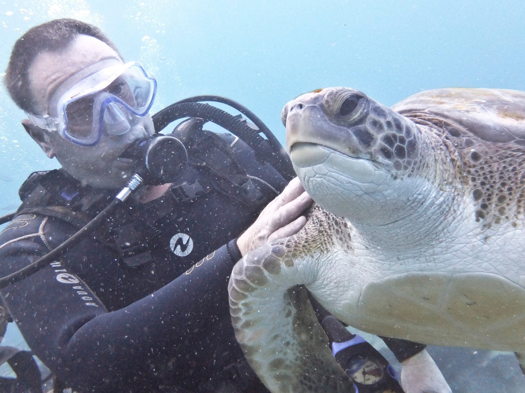 Tenerife Scuba景点图片