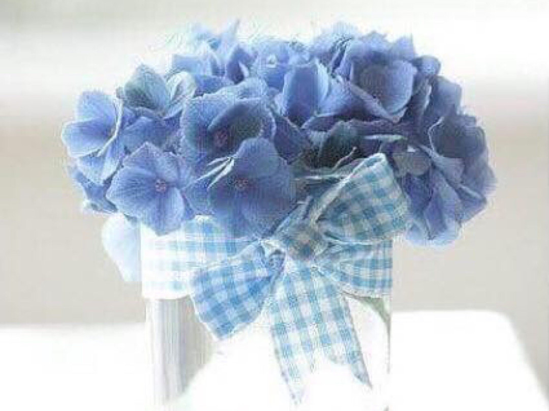 Sanitaria Adriatica-安科纳必去景点