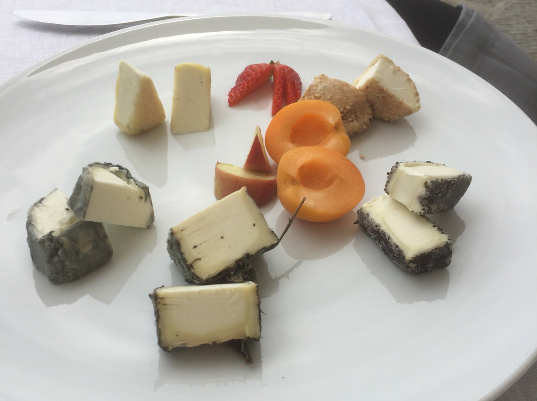 Civitella in Val di Chiana餐馆和美食-Foro Osteria Imperfetta