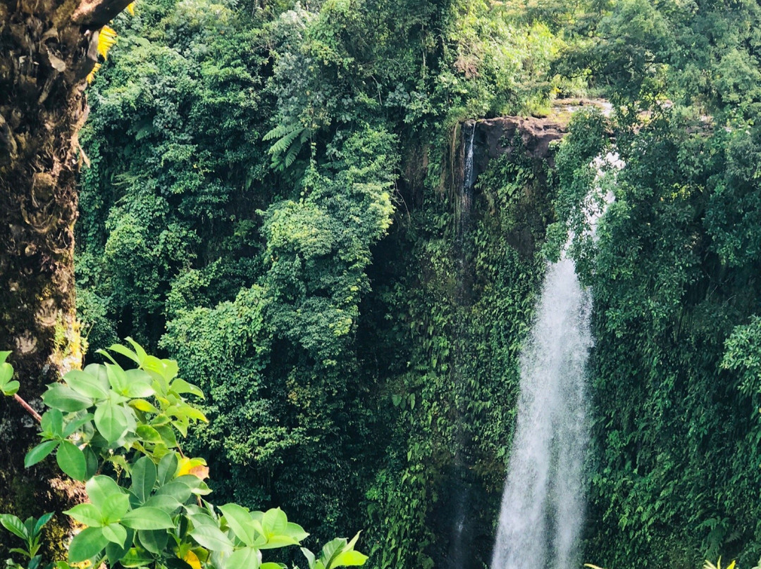 Fuipisia Waterfall景点图片