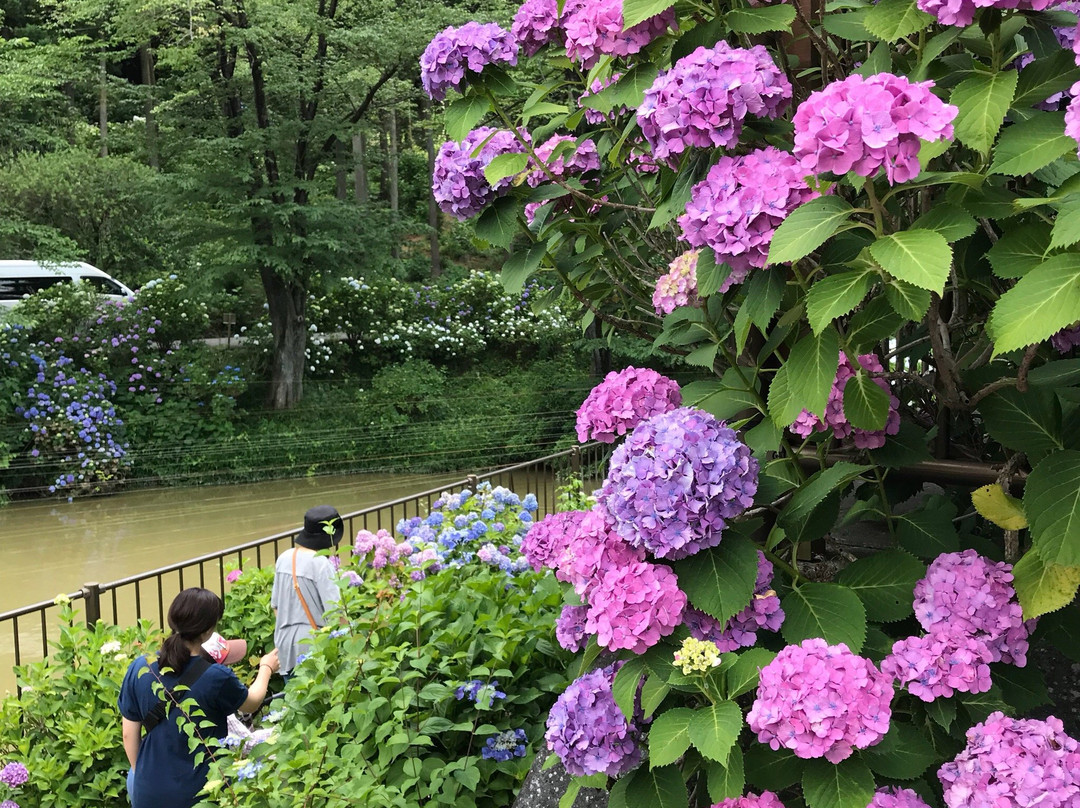 Kinsen-ji Temple-岚山町必去景点