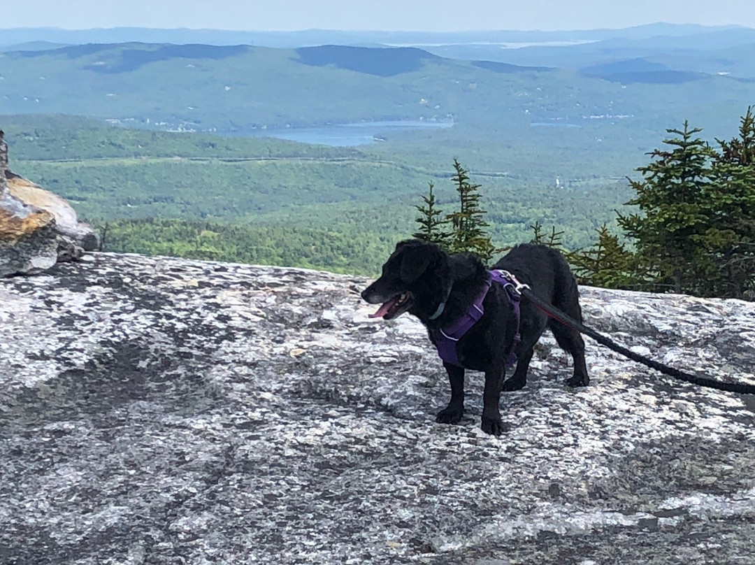 Mount Cardigan State Park-Alexandria必去景点