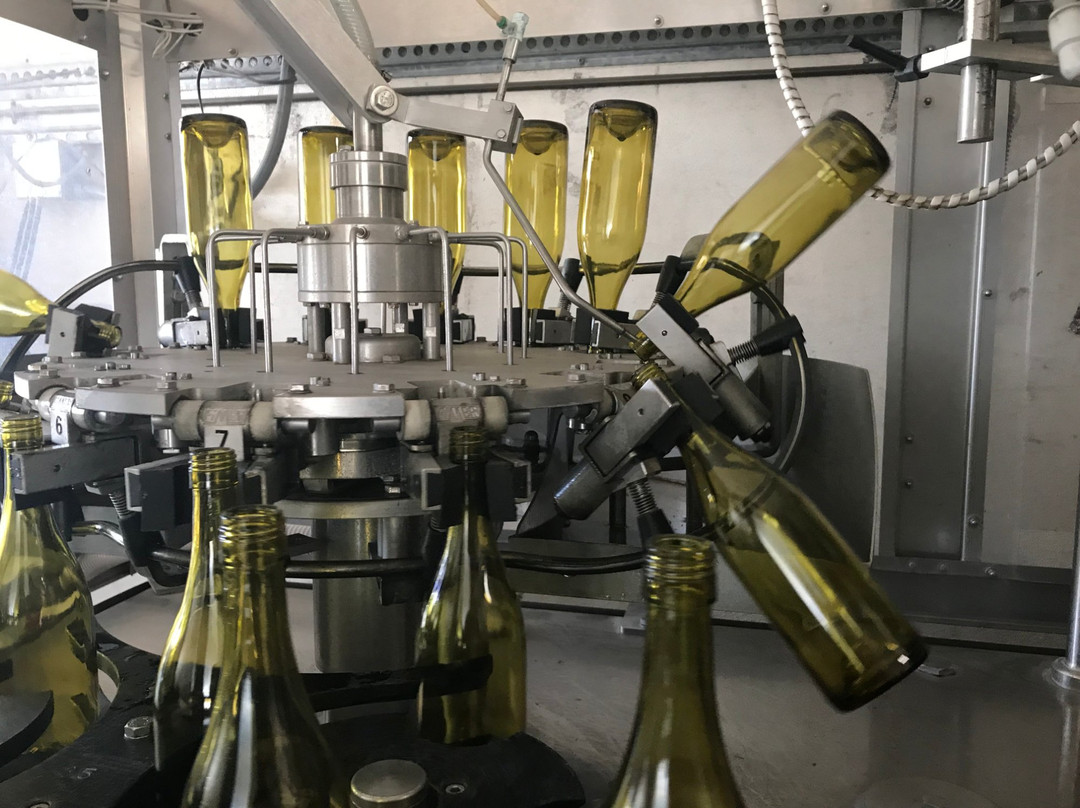 San Joaquin Winery-马德拉必去景点