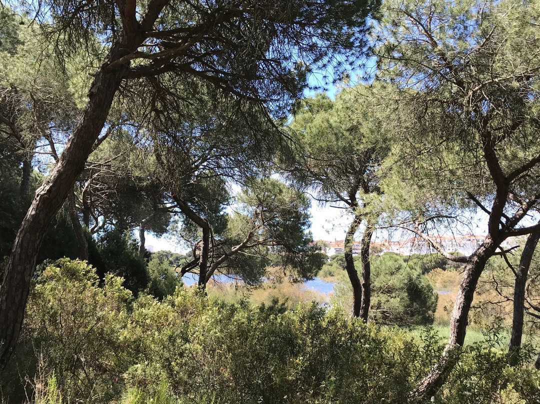 Reserva Natural Laguna de El Portil-El Portil必去景点
