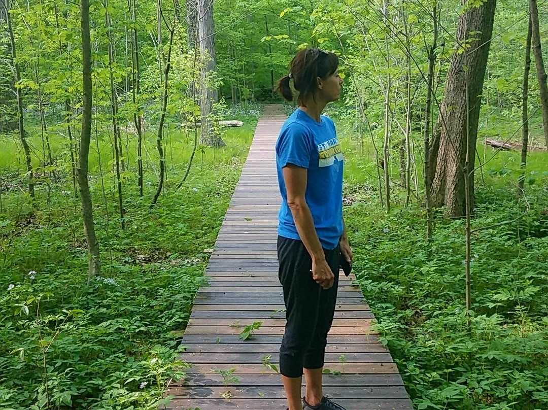 Baker Woods Nature Preserve景点图片