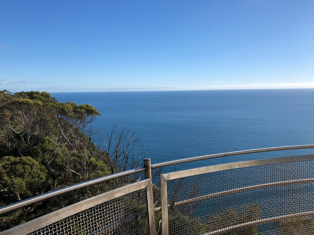 Table Cape Lighthouse Tours-温耶德必去景点