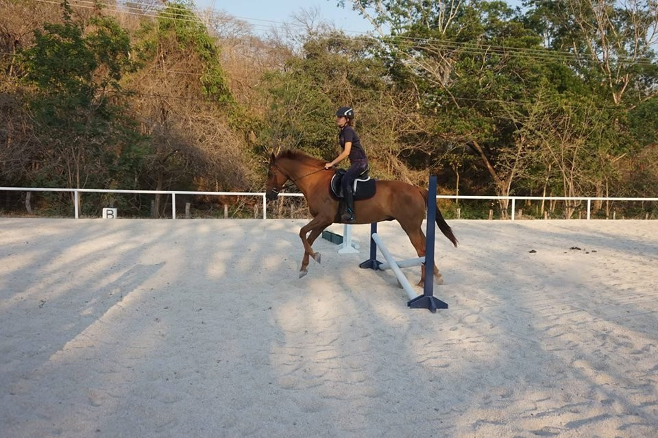 Perla Del Mar Equestrian Center景点图片
