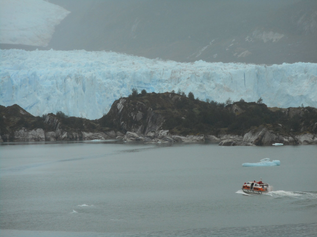 Glaciar Amalia-纳塔莱斯港必去景点