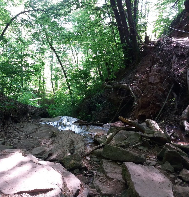 Margarethenschlucht-Neckargerach必去景点