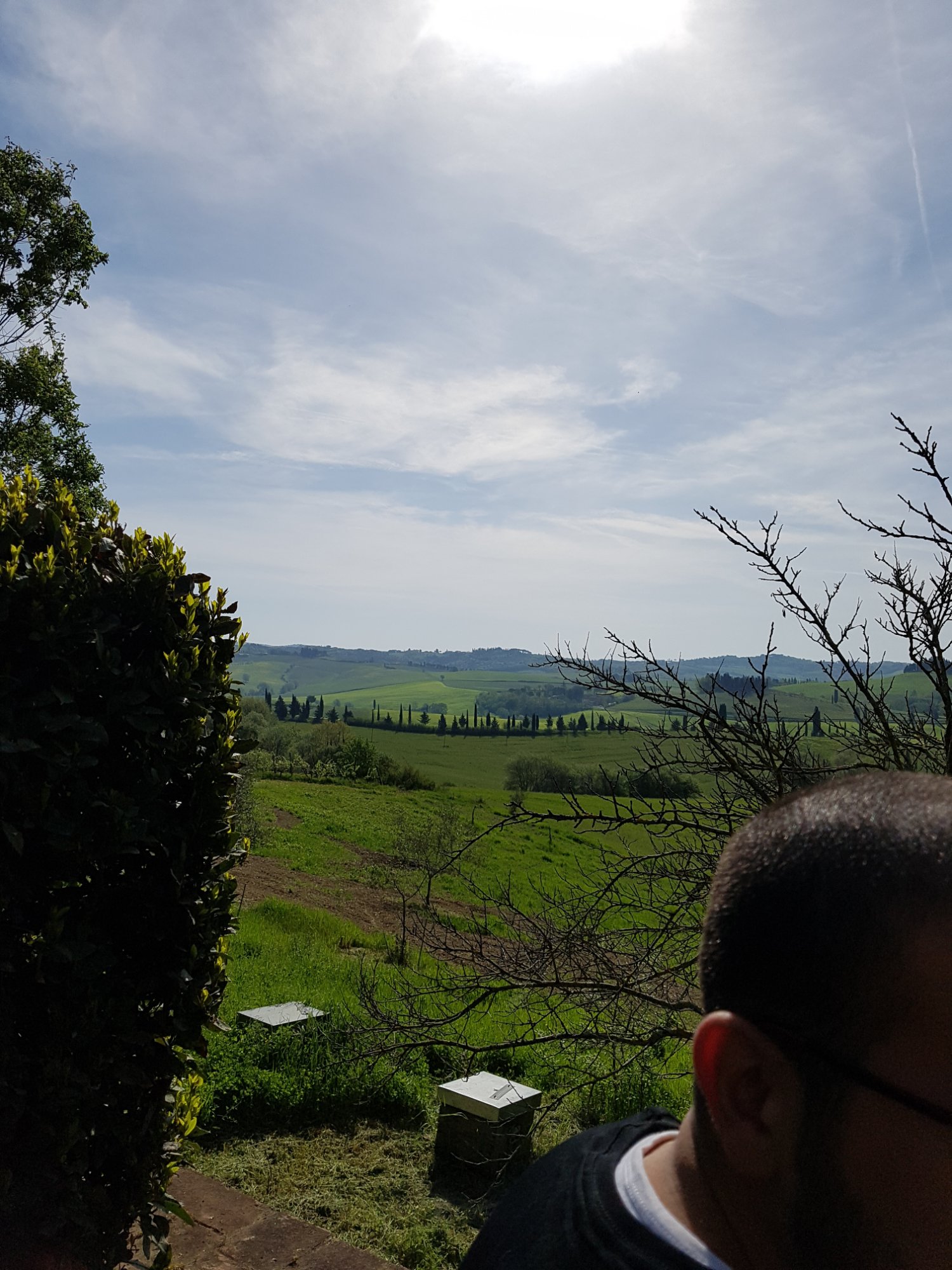 La Rotonda in Chianti-酒店景观