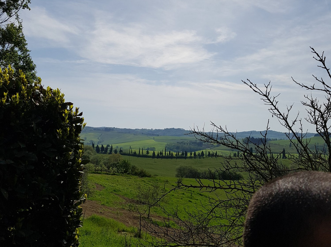 La Rotonda in Chianti主图