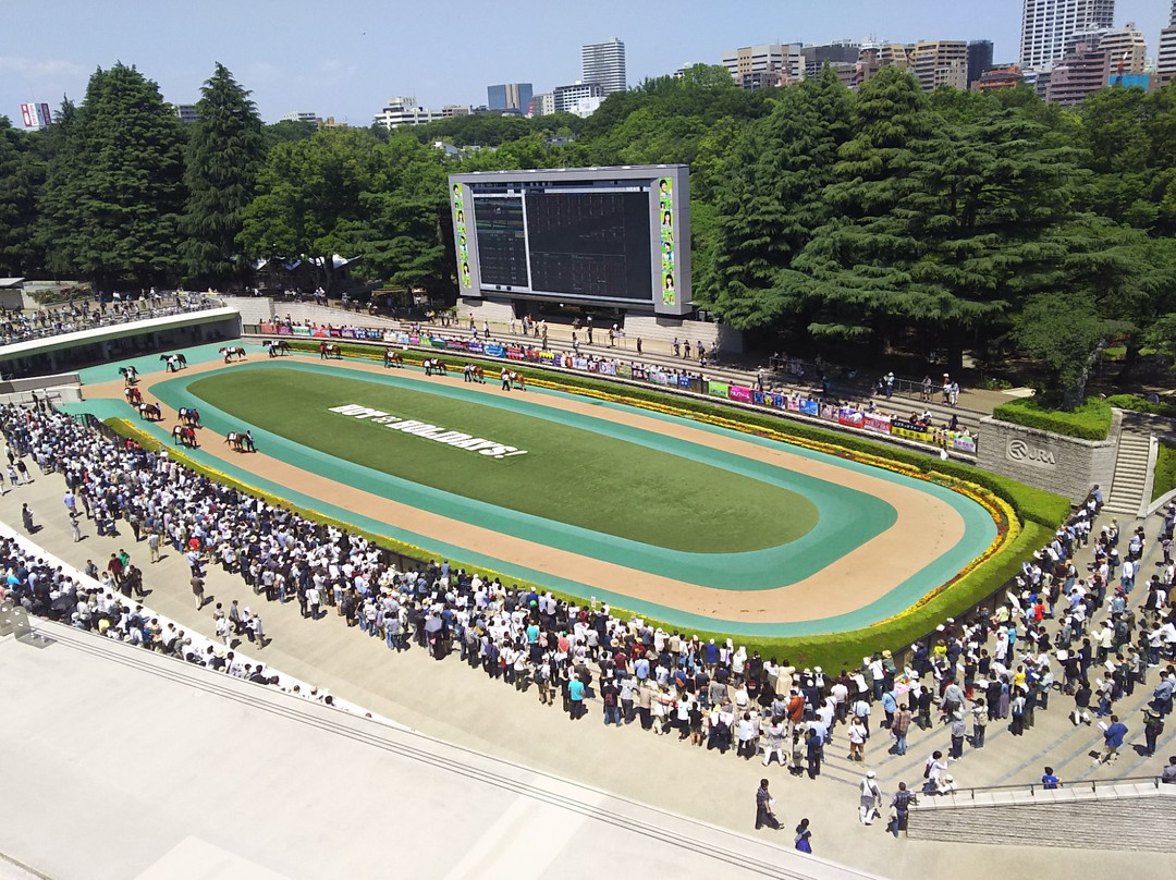 Tokyo Racecourse景点图片