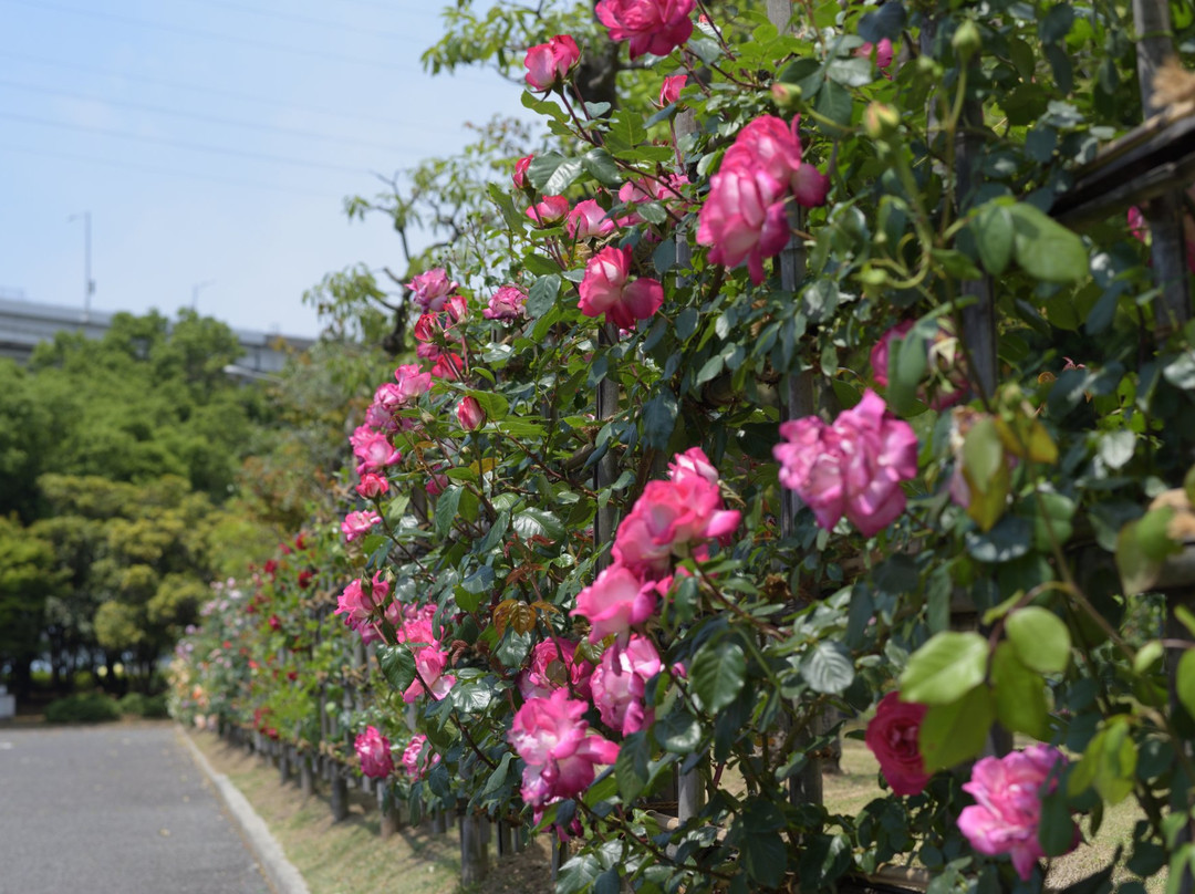Bannosu Park-坂出市必去景点