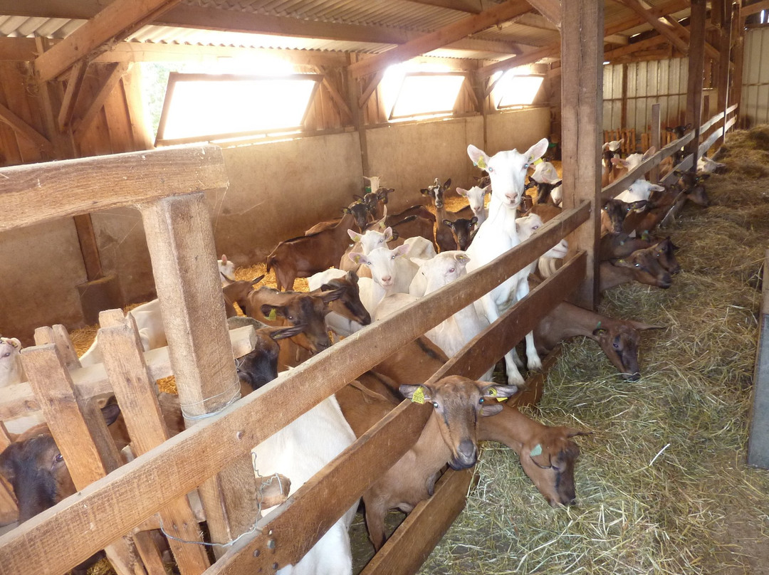 Le Logis Alexandra主图