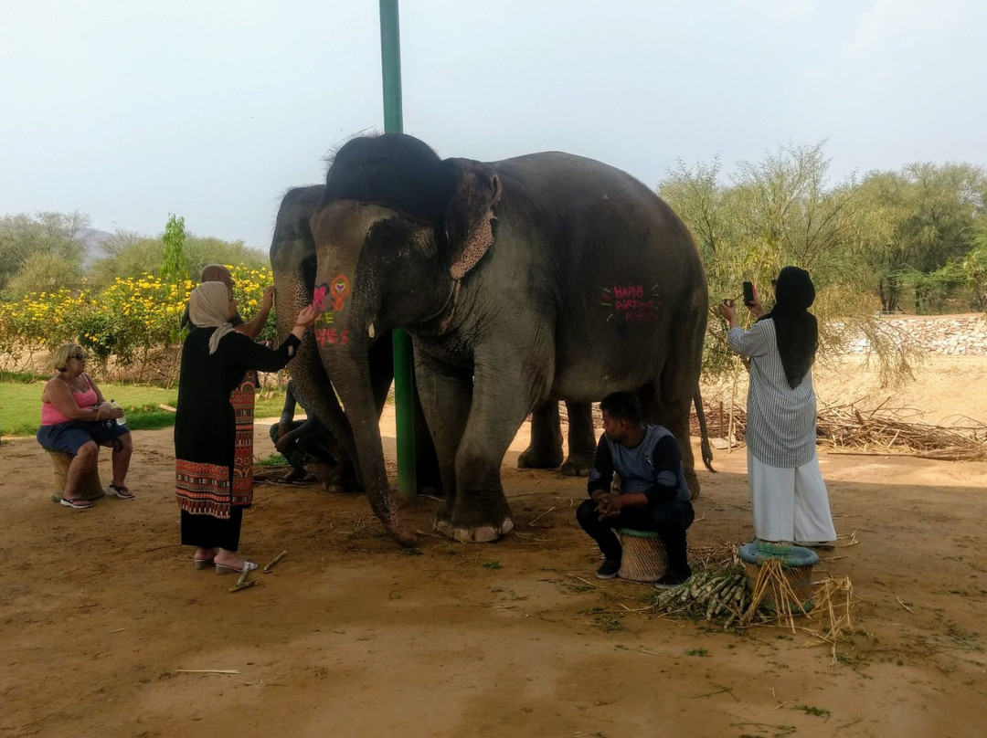 Elefuncity-Amer必去景点