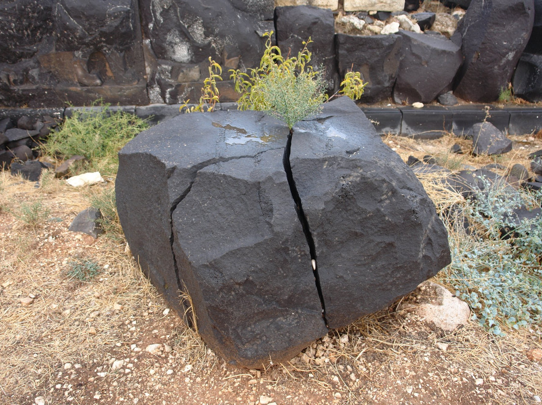 Saint Simon Citadel (Sam’an Citadel, Qalat Samaan)景点图片