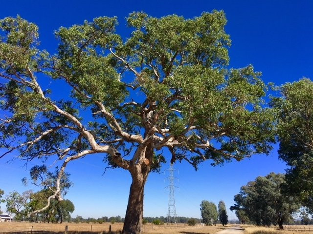 Hurdle Creek Still-Milawa必去景点