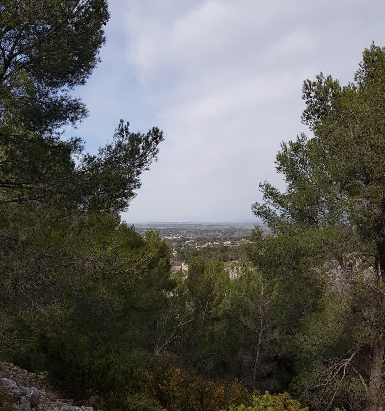 Parc Naturel Regional des Alpilles景点图片