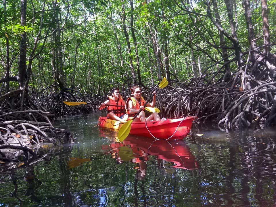 Xtreme Langkawi Mangrove Kayaking景点图片