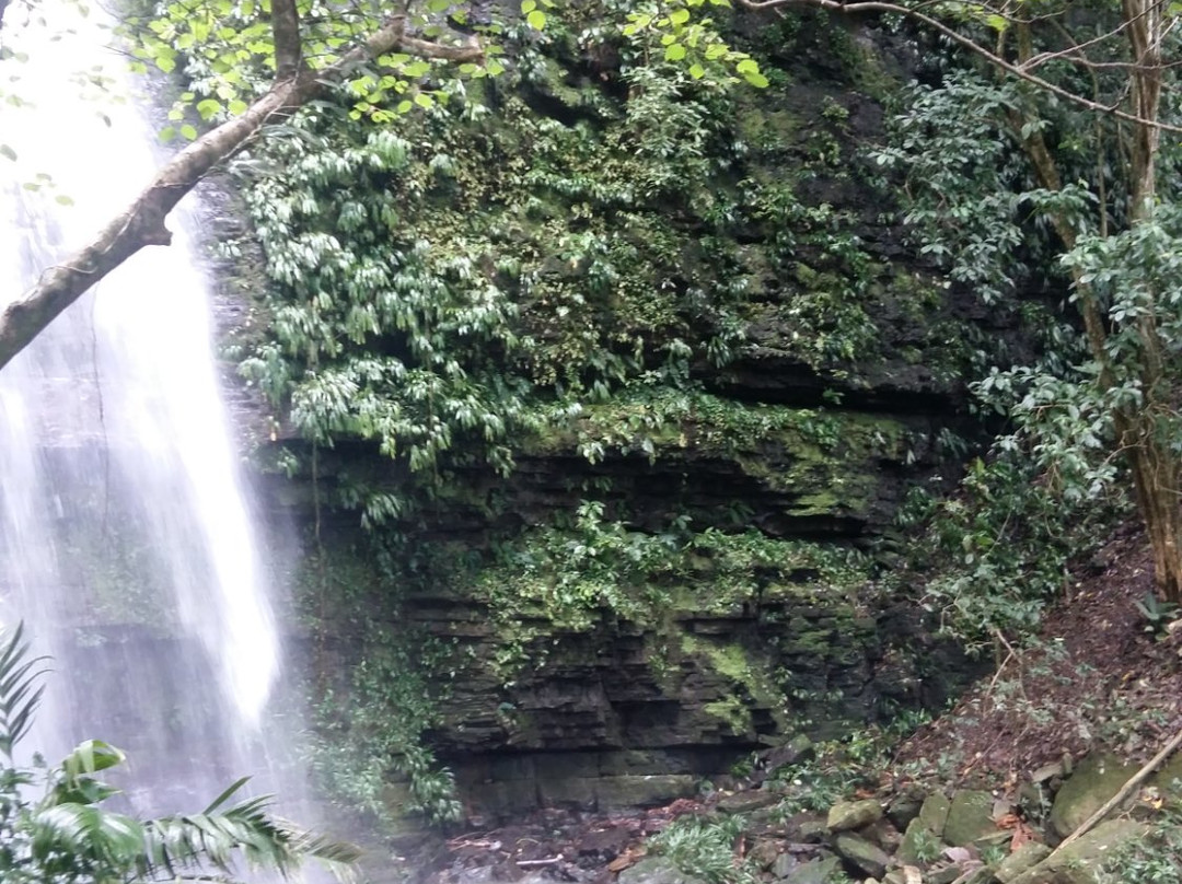 Parque Nacional del Agua景点图片