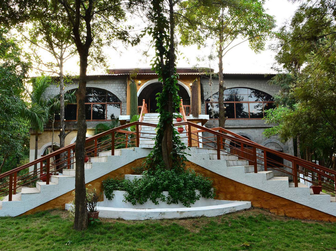 Jungle King Resort主图