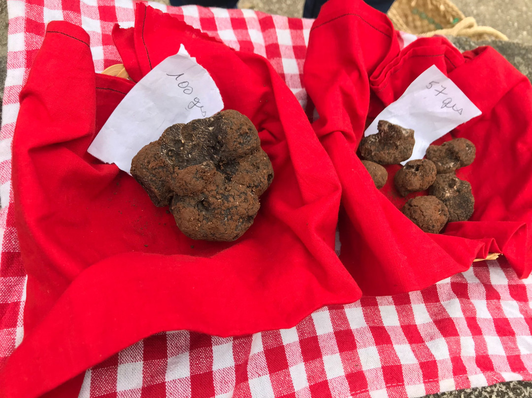 Truffes Passion-Limogne-en-Quercy必去景点