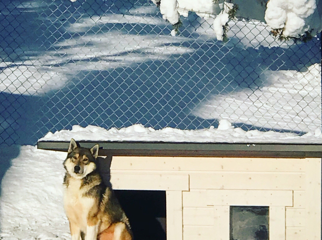 Ruka Ski Chalets主图